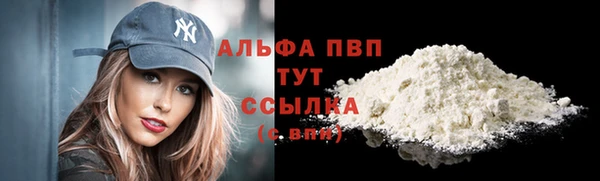 стафф Алексин