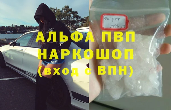 стафф Алексин