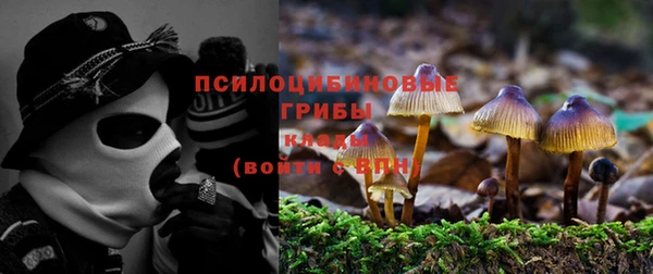 ПСИЛОЦИБИНОВЫЕ ГРИБЫ Алексеевка